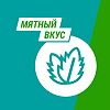 Гевискон суспензия для приема внутрь мятная 300 мл 1 шт