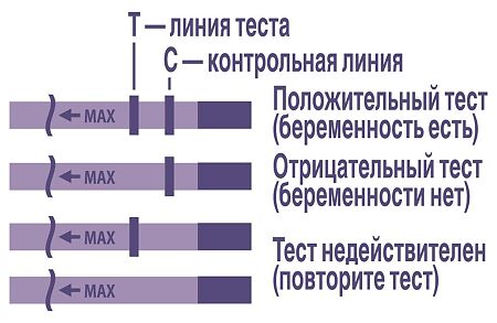 Тест для определения беременности Evitest 1 шт