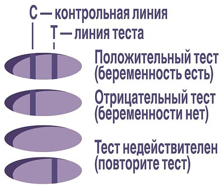 Тест для определения беременности Evitest 1 шт