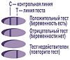 Тест для определения беременности Evitest Perfect струйный 1 шт