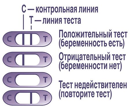 Тест для определения беременности Evitest Perfect струйный 1 шт