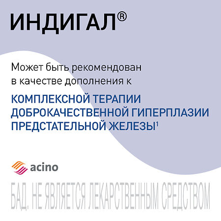 Индигал капсулы по 400 мг 120 шт