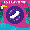 Carefree Plus Large салфетки (прокладки) ежедневные 20 шт