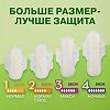 Naturella Прокладки Camomile Ultra Normal с крылышками 10 шт