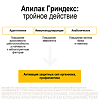 Апилак Гриндекс таблетки 10 мг 25 шт