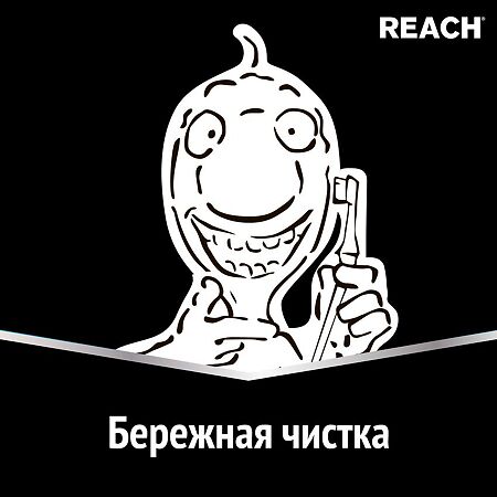 Зубная щетка Рич (Reach) Access Глубокая чистка жесткая 1 шт