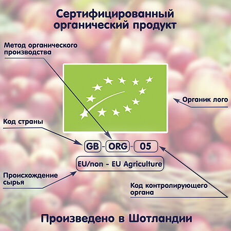 Fleur Alpine Органик Пюре яблоко-банан-черная смородина-черника с 6 мес. пауч 120 г 1 шт