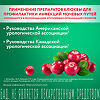 Уронорм таблетки покрыт.об. массой 678 мг 30 шт