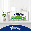 Kleenex Бумага туалетная Нежная ромашка 3-х слойная 8 шт