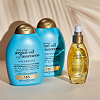 OGX Восстанавливающий шампунь с аргановым маслом Renewing + Argan Oil Of Morocco Shampoo 385 мл 1 шт