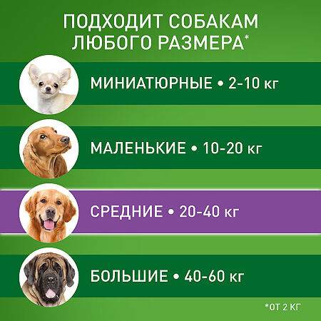 Фронтлайн Комбо капли на холку для собак 20-40 кг пипетка 2,68 мл 1 шт