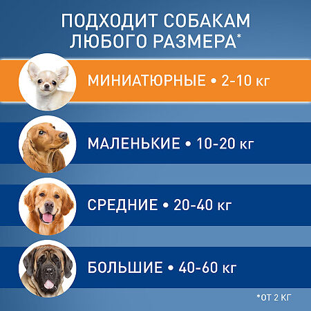 Фронтлайн Спот Он S капли на холку для собак 2-10 кг пипетка раствор для наружного применения 0,67 мл 1 шт