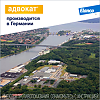 Адвокат капли на холку от чесоточных клещей, блох и глистов для собак до 4 кг пипетка 1 шт