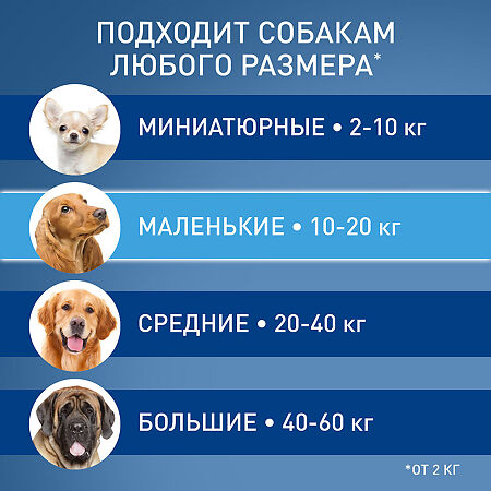 Фронтлайн Спот Он М капли на холку для собак 10-20 кг пипетка раствор для наружного применения 1,34 мл 1 шт