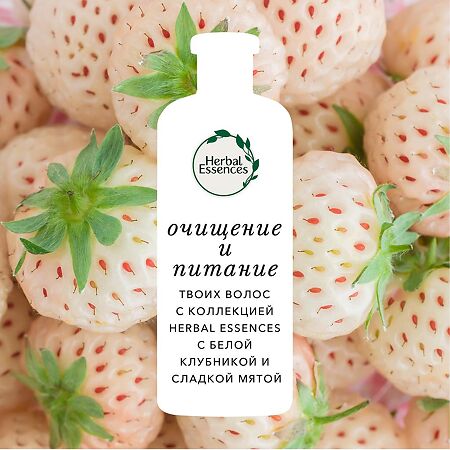 Herbal Essences Шампунь Белая клубника и сладкая мята 400 мл 1 шт