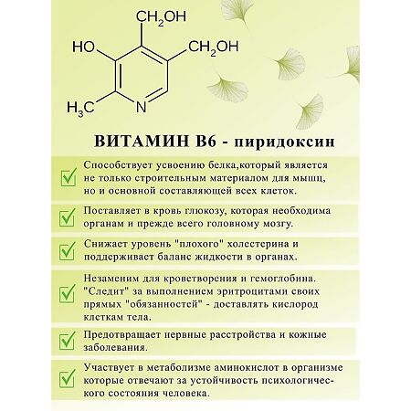 Green SIDE Гинкго билоба 120 мг с глицином и витамином В6 таблетки по 500 мг 60 шт