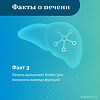 Гептрал таблетки кишечнорастворимые покрыт.плен.об. 500 мг 20 шт