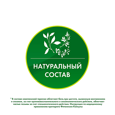 Фитолизин капсулы 40 шт