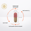 Gold'n Apotheka Skin, Nails & Hair 30/60/90 Кальций Коралл (Calcium coral) капсулы массой 600 мг 60 шт